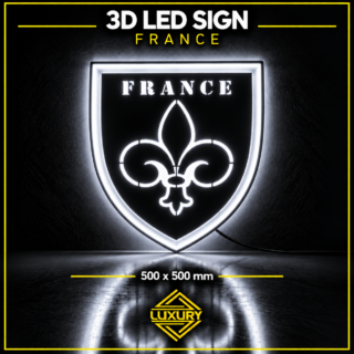 3D LED "FRANCE" decoration 500x500mm