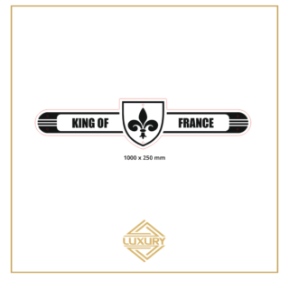 Mirror LED "FLEUR-DE-LIS & KING OF FRANCE" decoration 1000x250mm