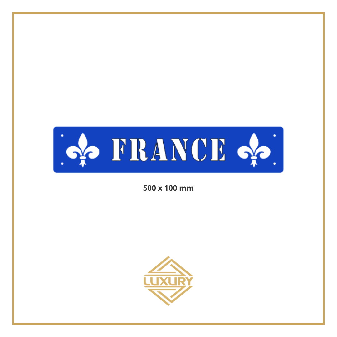 3D LED windshield "FRANCE" decoration 500x100mm