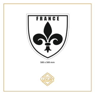 Mirror LED "FRANCE" decoration 500x500mm