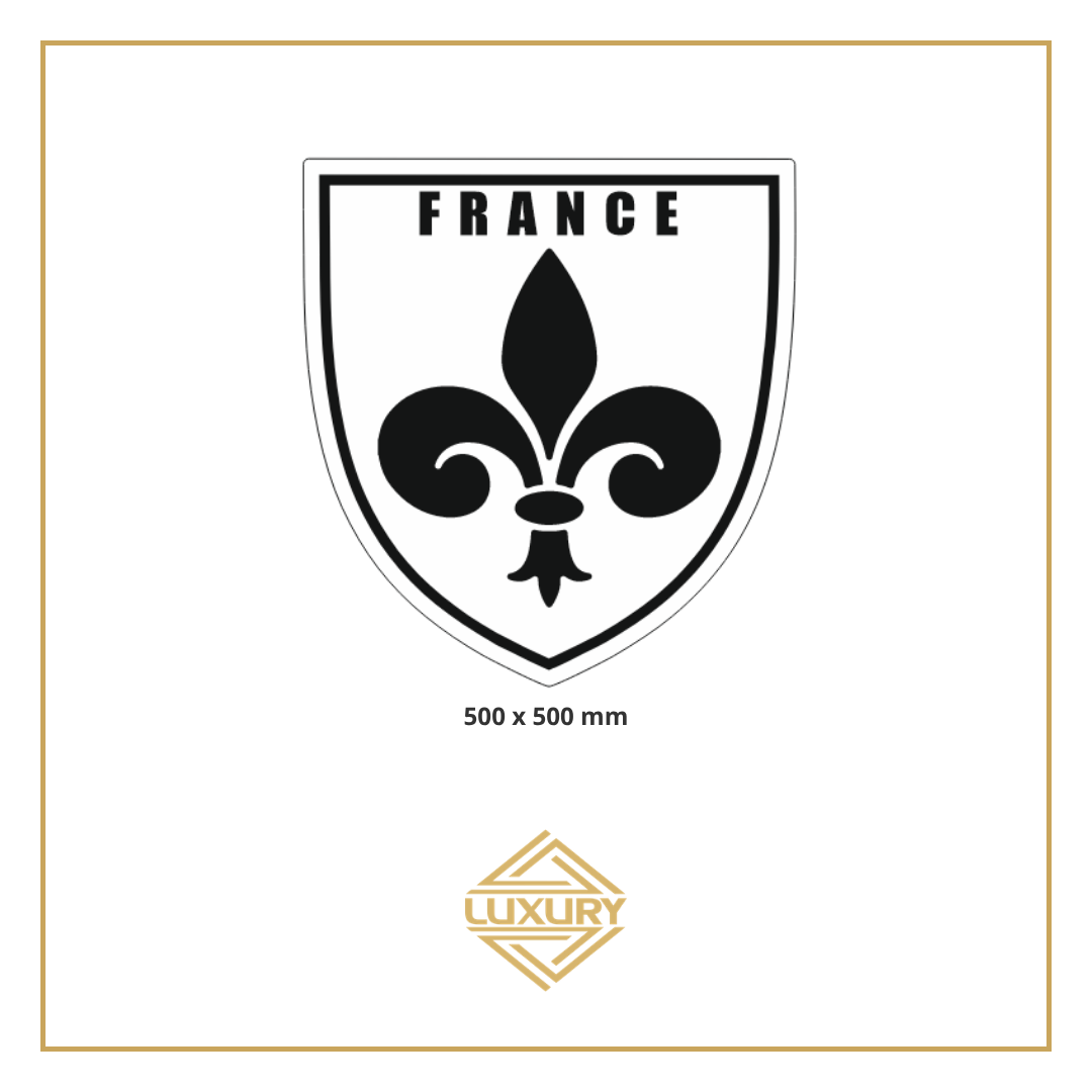 Mirror LED "FRANCE" decoration 500x500mm