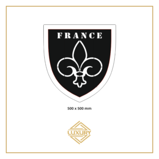 3D LED "FRANCE" decoration 500x500mm