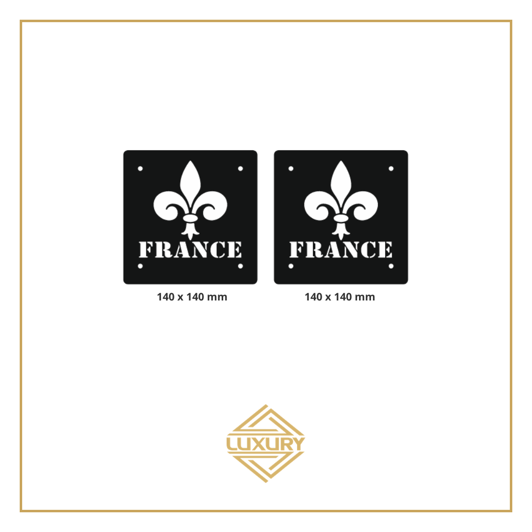 3D LED "FRANCE" windshield decoration 140x140mm (1 pair)